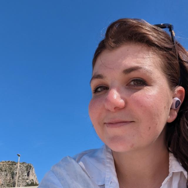 Couch Potato Chronicles