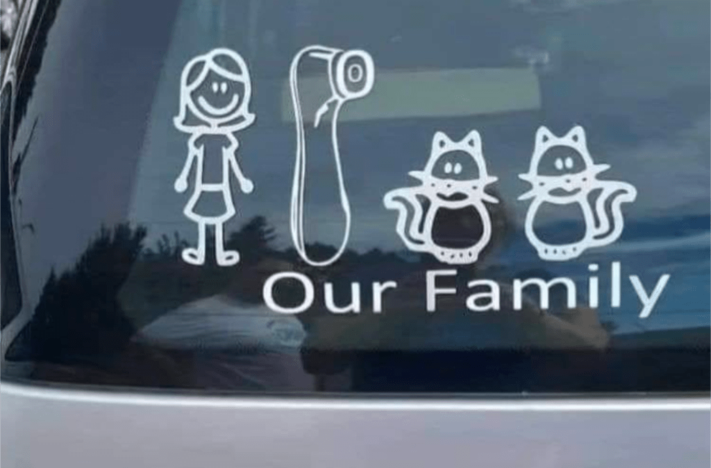 Childless Cat Ladies, Unite!